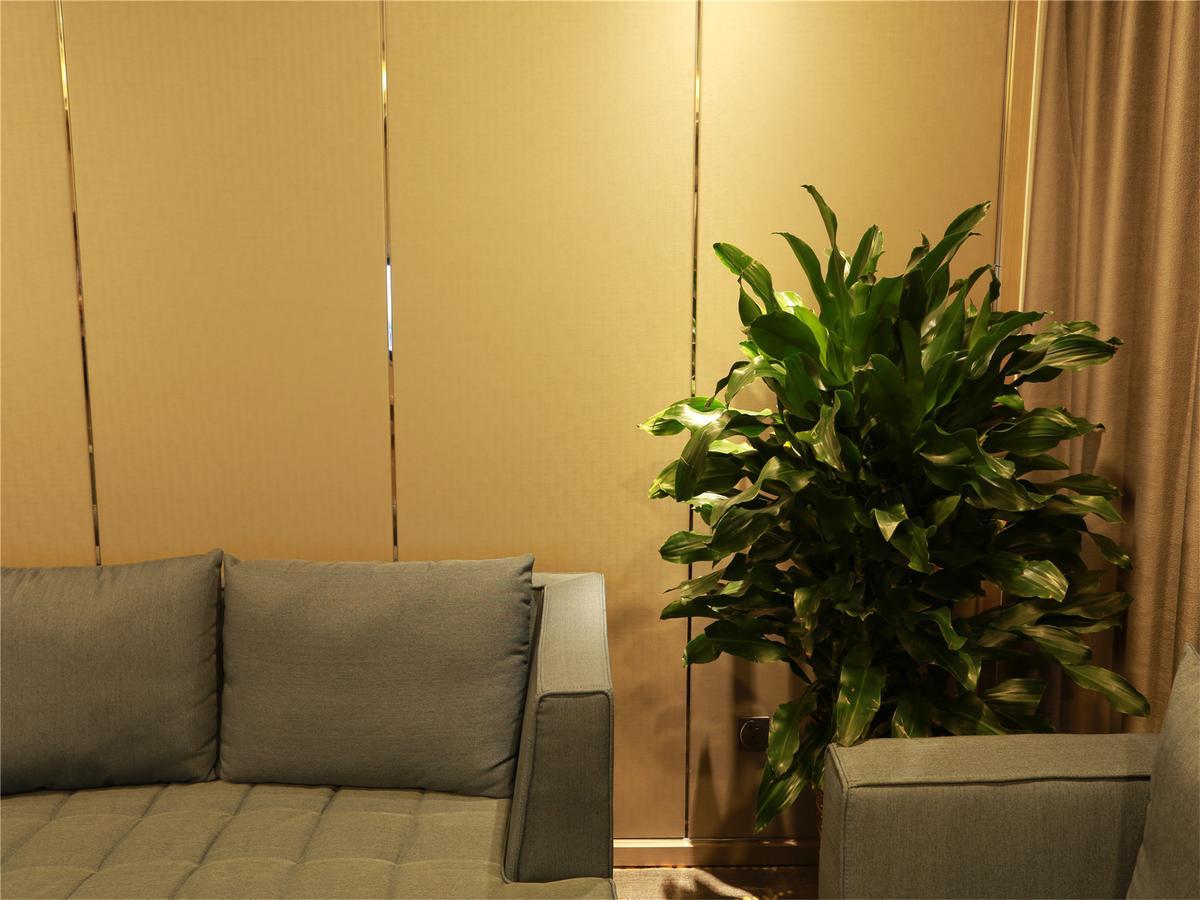 Aulicare Collection Hotel Харбин Экстерьер фото